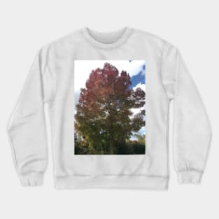 Autumn Tree against a blue sky Crewneck Sweatshirt